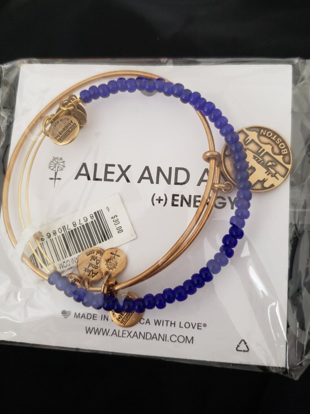 Limited edition Alex and Ani Boston Strong Set of 2 Bracelet Bangle 364